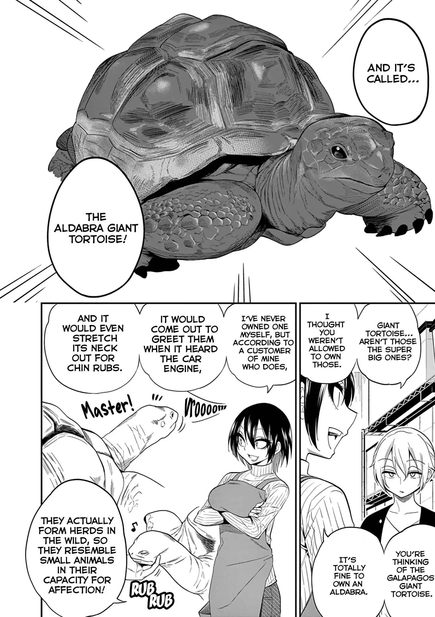 Secret Reptiles Chapter 14 14